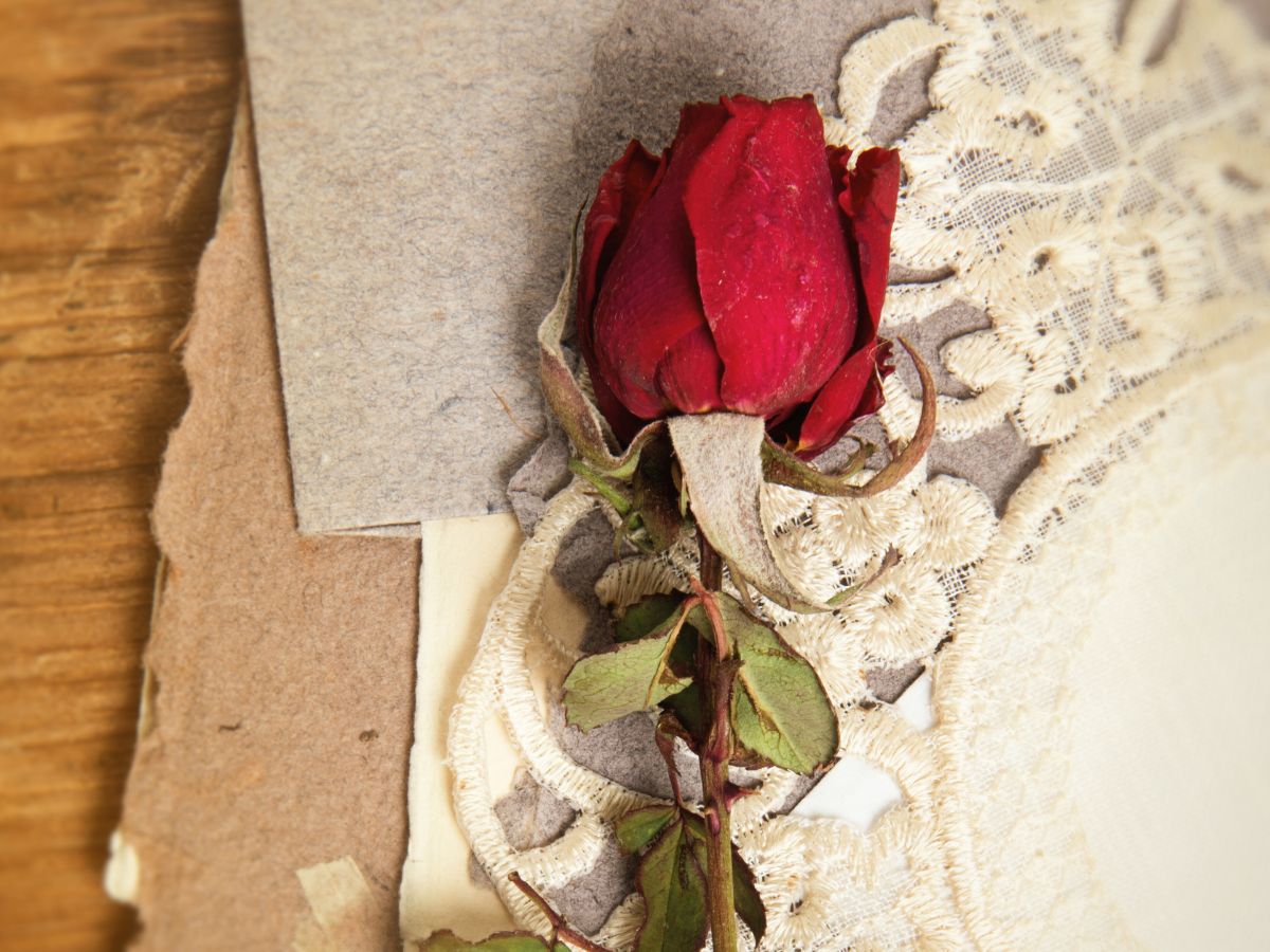 Kit Scrapbooking Vintage Meta