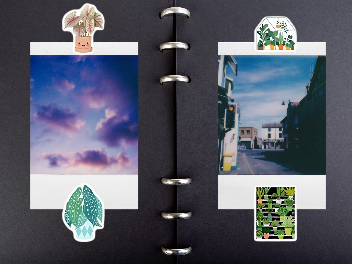 Stickers Plantes Meta