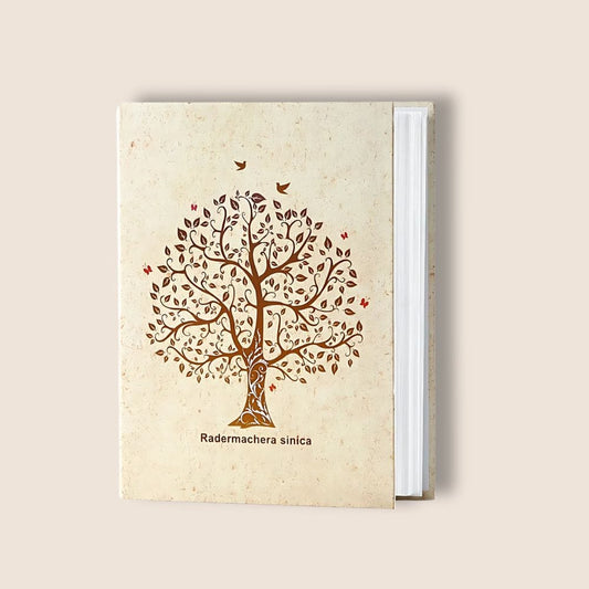 Album Photo Original 1