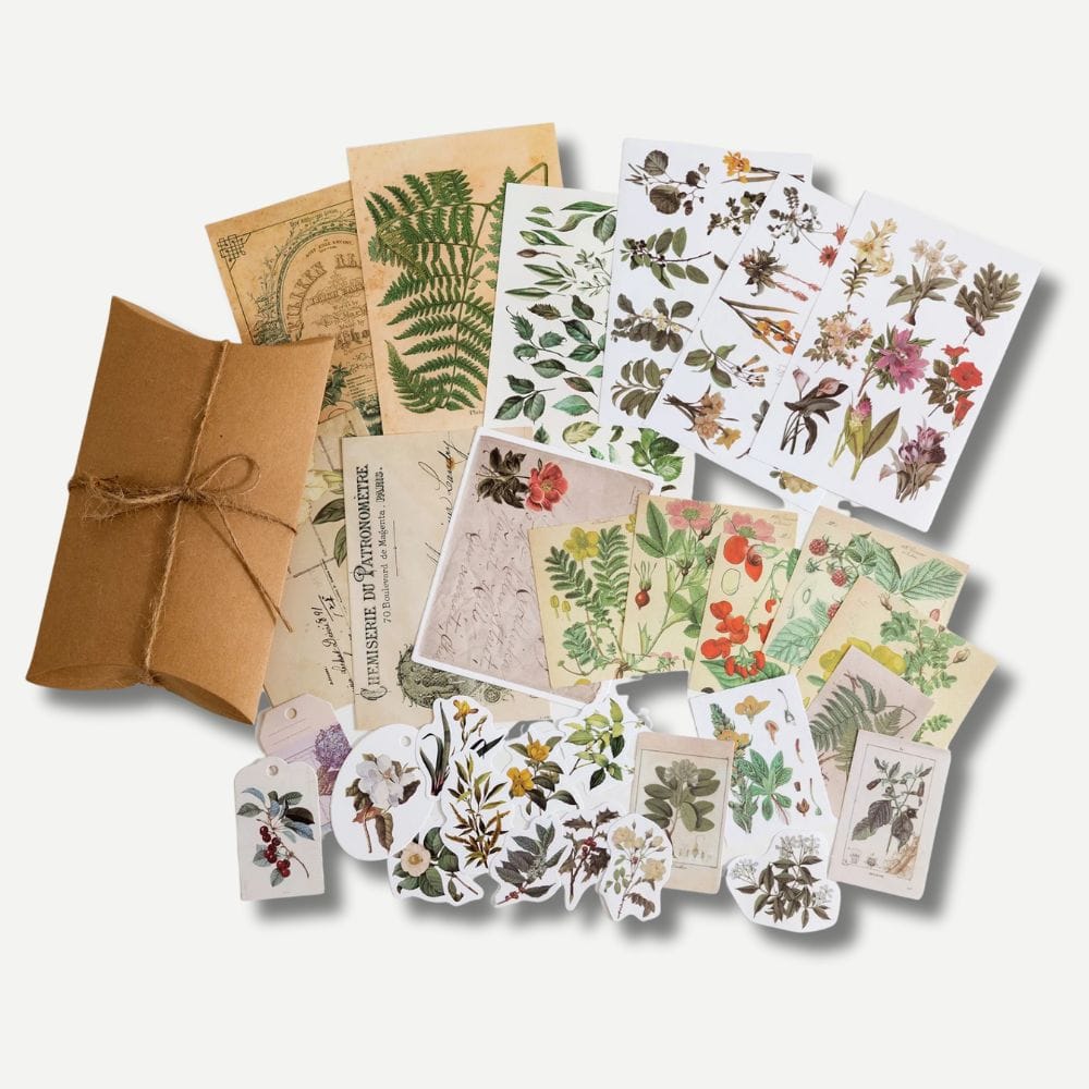 Kit Scrapbooking Vintage Herbiers Verts
